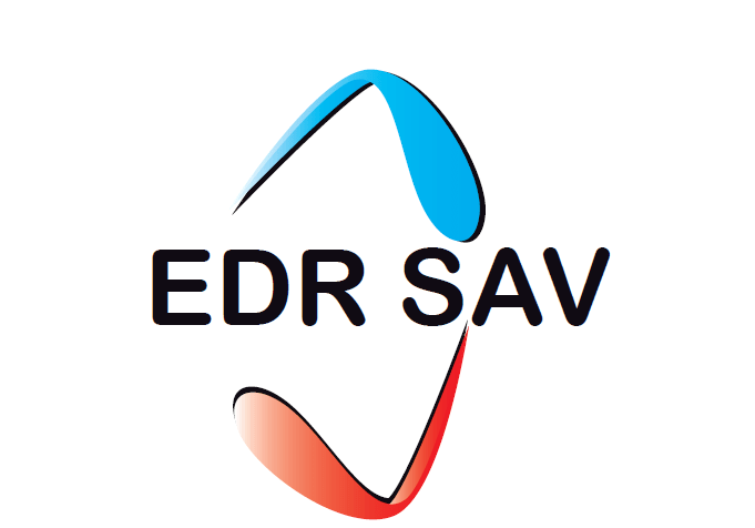 logo sav